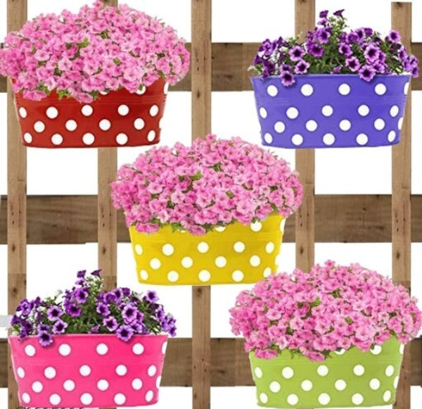 COPPER AART DOTTED Multicolor Rectangle Hanging Metal Pot Holders Doubble Hooks Set of 5 - Free Size, Multicolor, Metal, Dotted, Set of 5, Rectanglar